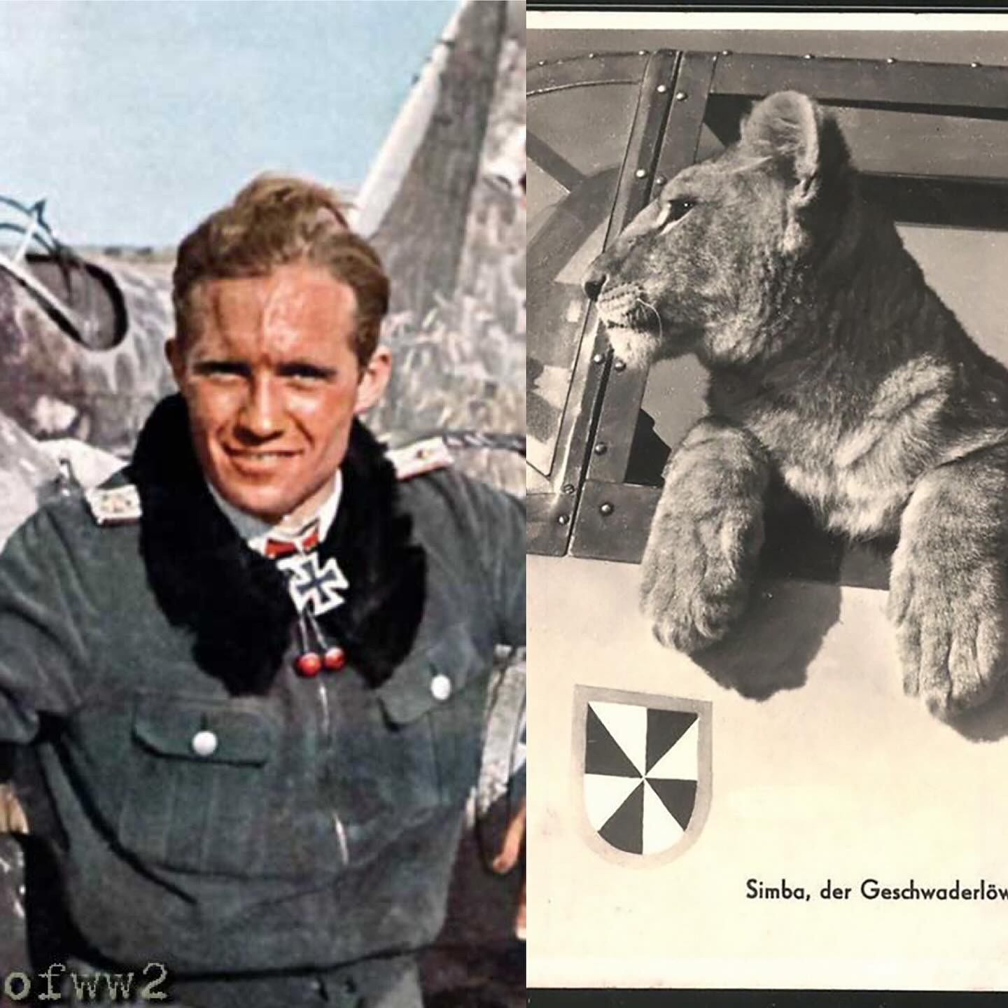 Franz von Werra:  The Escapiest German Ace ever