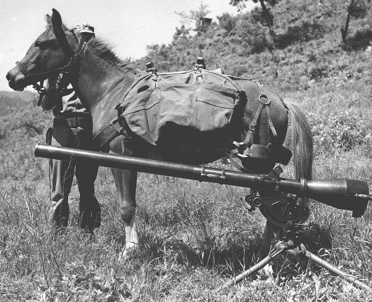 Sergeant Reckless